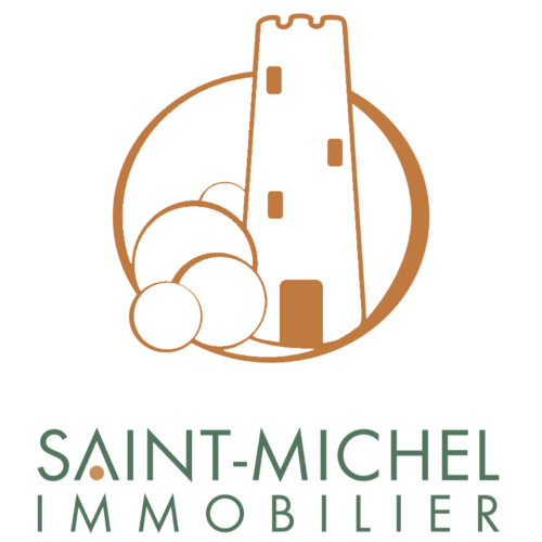 SAINT MICHEL IMMOBILIER