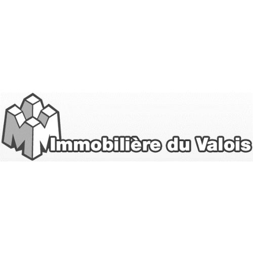 Immobilière du Valois