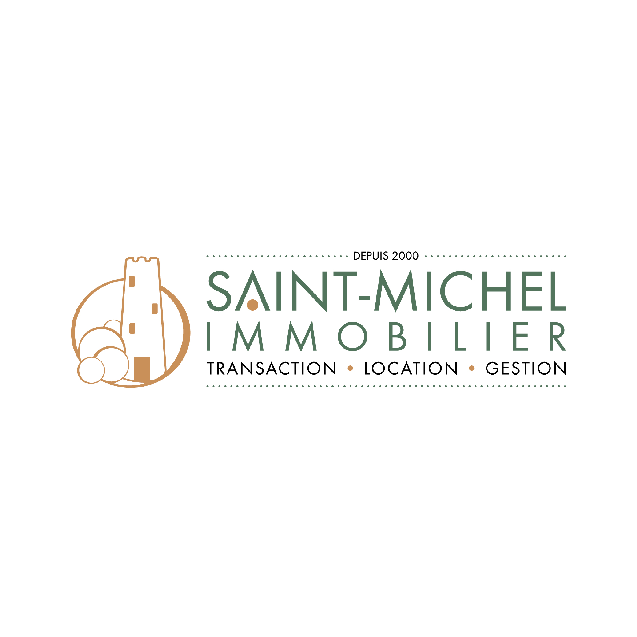 Saint michel immobilier